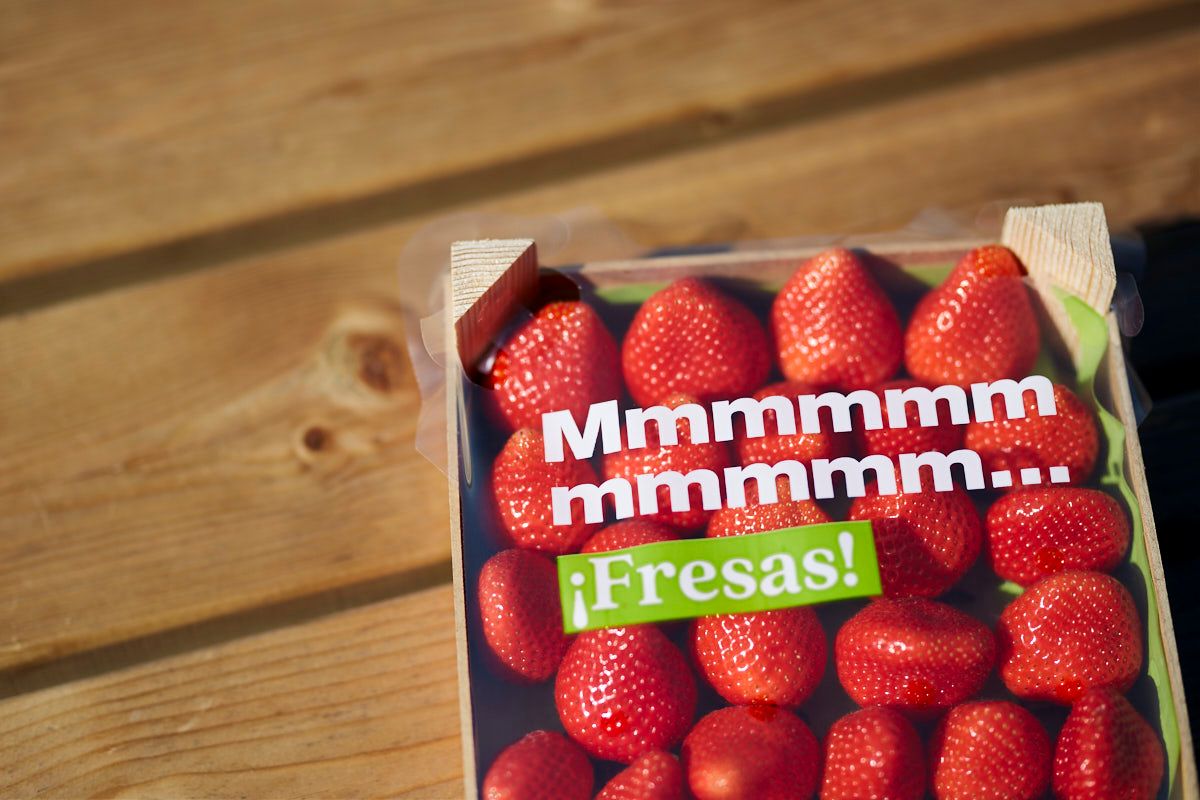 Plástico protector personalizado con la identidad creada para Mumu