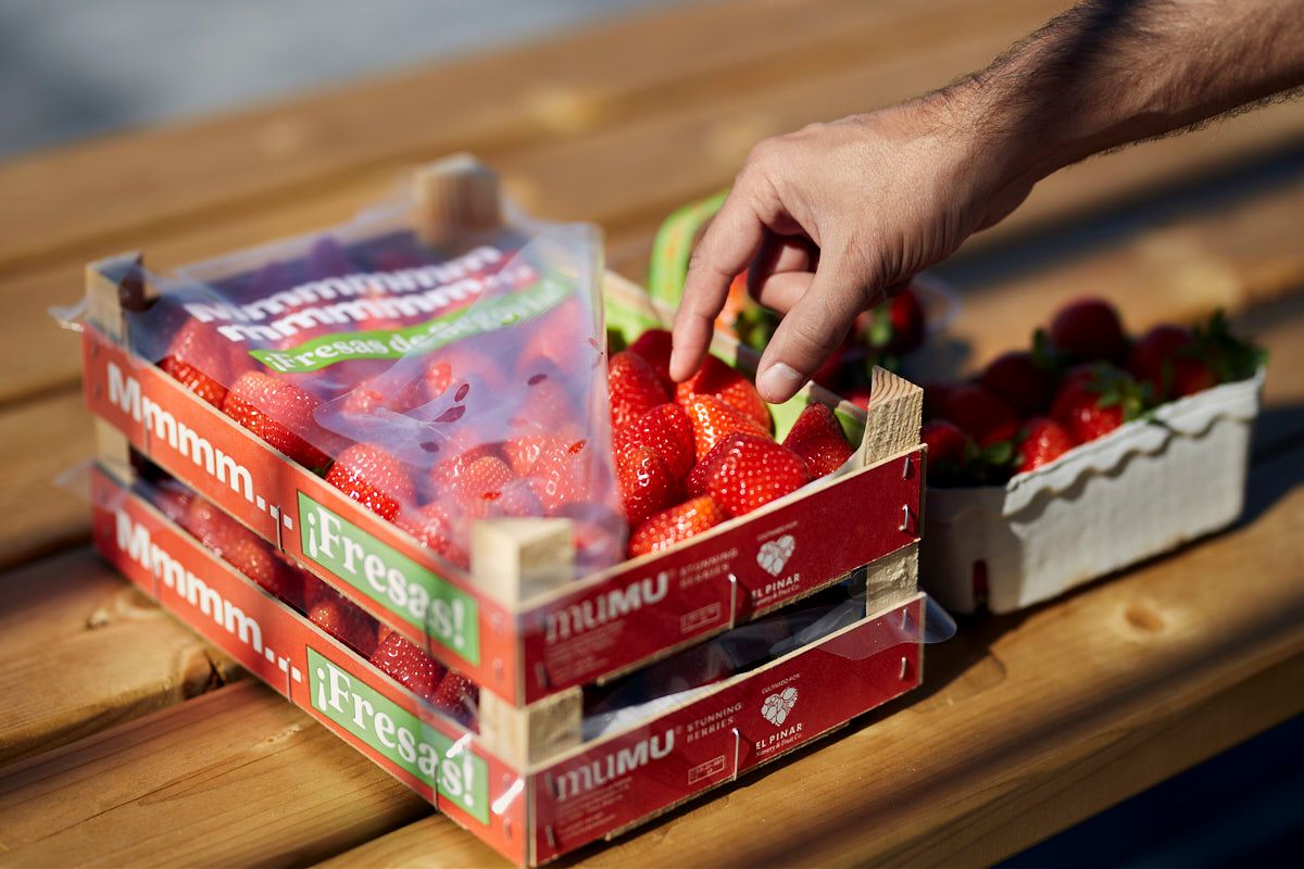 Diferentes formatos de cajas de fresas de Mumu