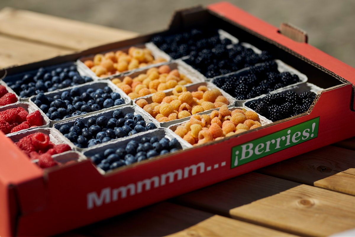 Mumu no son solo fresas, son berries