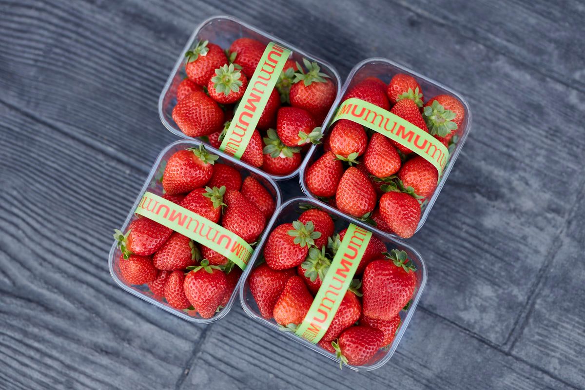 Formato de cestas de medio kilo de fresas de mumu