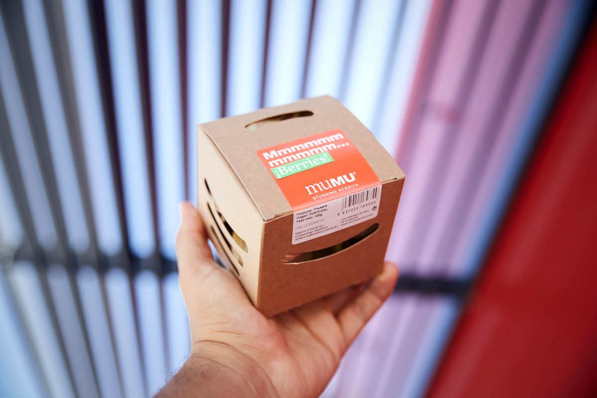 Pequeño formato de caja para llevar