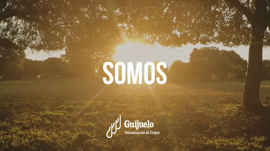 Imagen con drone sobre dehesa para vídeo spot corporativo