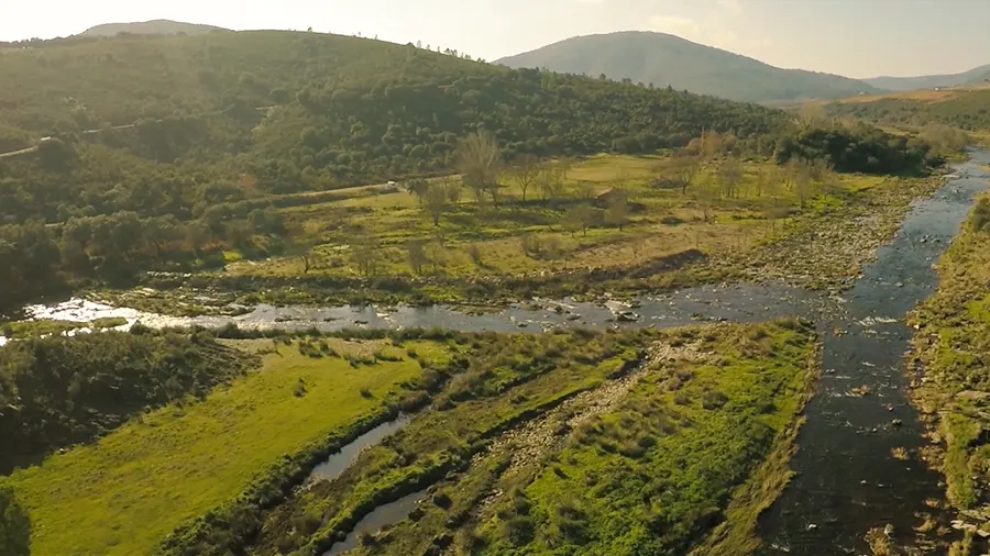Escena de vídeo publicitario sobre el jamón ibérico